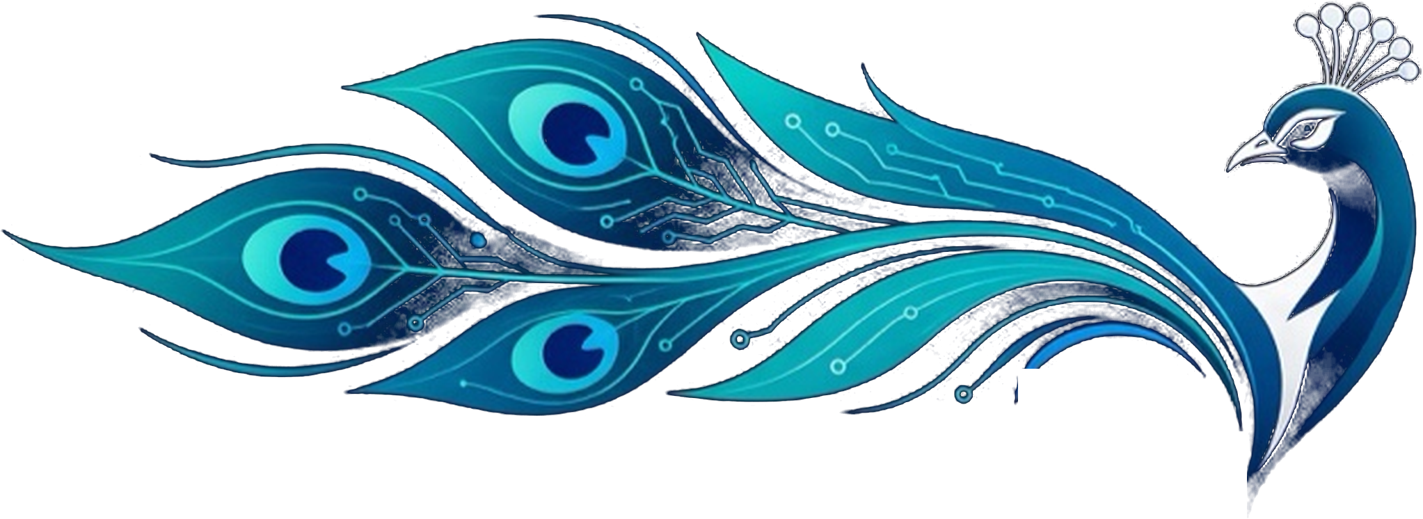 DevonLK peacock